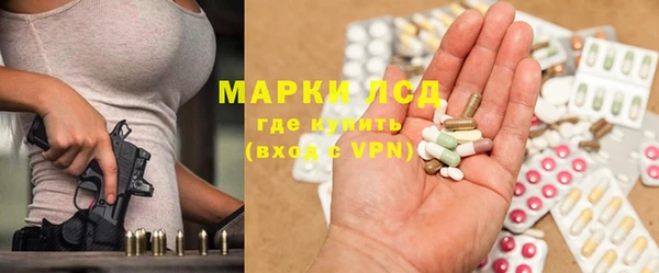 бошки Белокуриха
