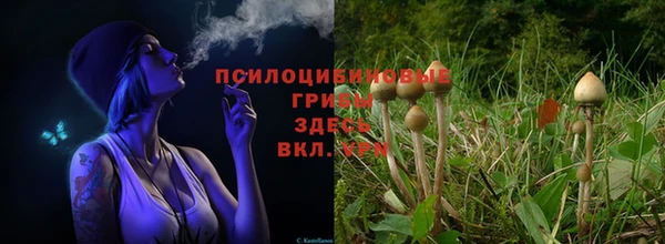 кокаин VHQ Богданович