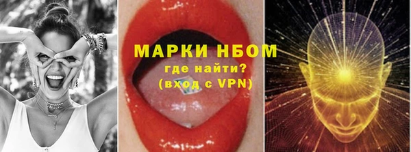 бошки Белокуриха