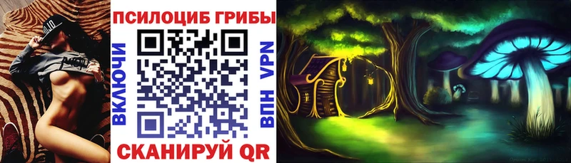 Псилоцибиновые грибы мицелий  Вязьма 