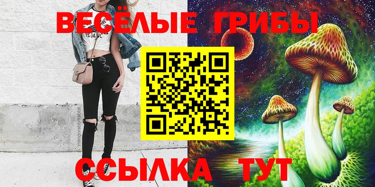 Вязьма  Псилоцибиновые грибы Psilocybe  наркошоп  Вход с VPN  Галлюциногенные грибы Psilocybe 