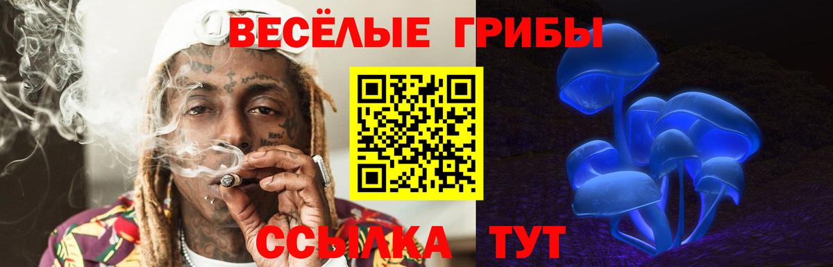 Галлюциногенные грибы прущие грибы Вязьма